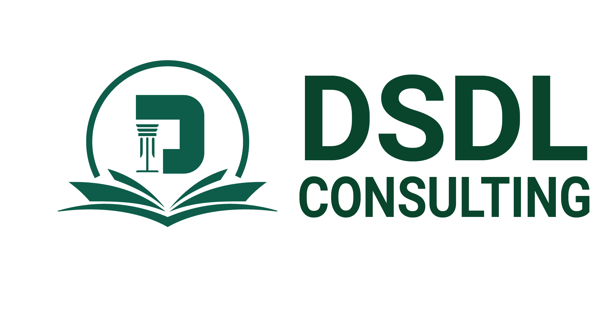 dsdlconsulting